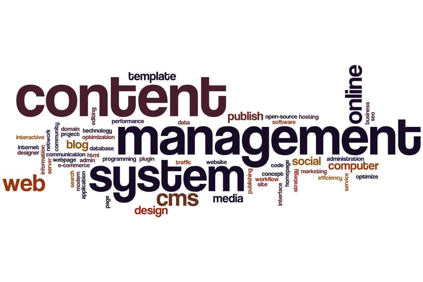 Website Management